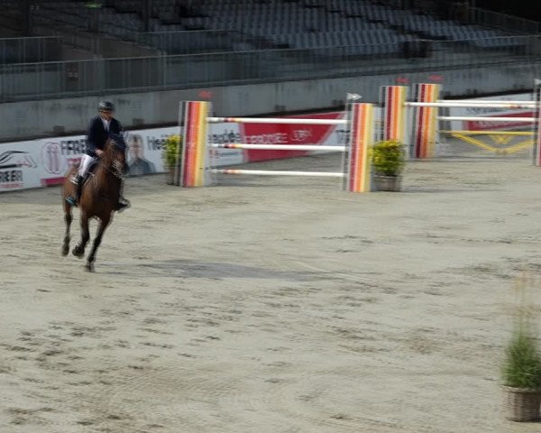 Reitturnier Westergellersen 2021