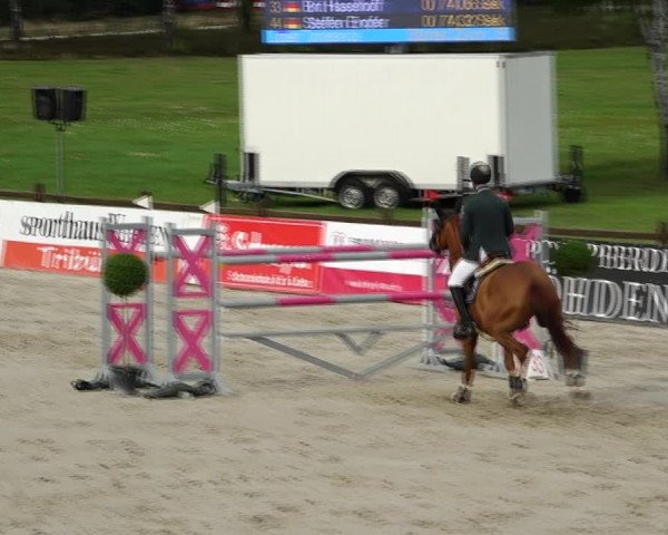 Reitturnier Westergellersen 2021