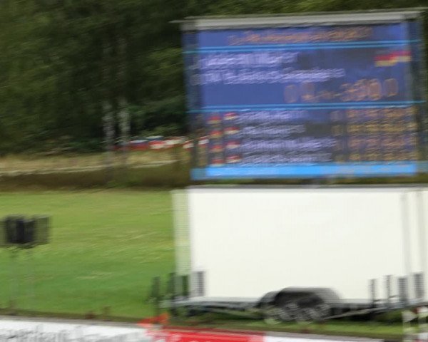Reitturnier Westergellersen 2021