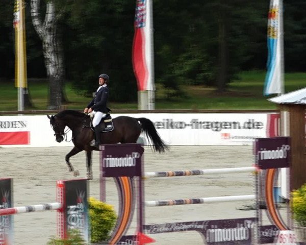 Reitturnier Westergellersen 2021