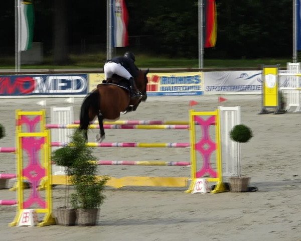Reitturnier Westergellersen 2021