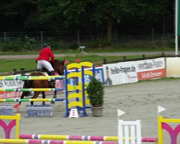 Reitturnier Westergellersen 2021
