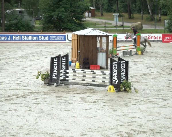 Reitturnier Westergellersen 2021