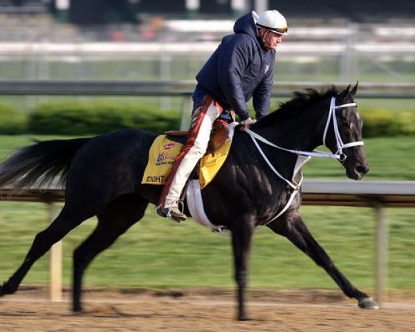 horse Eight Belles xx (Thoroughbred, 2005, from Unbridled's Song xx)