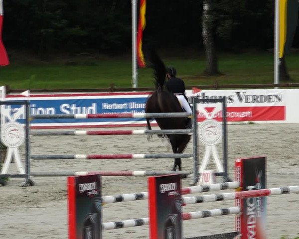 Reitturnier Westergellersen 2021