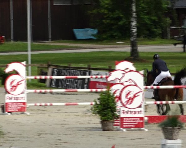 Reitturnier Westergellersen 2021