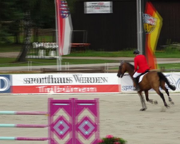 Reitturnier Westergellersen 2021