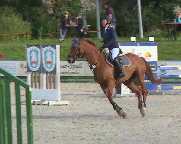 Maingau Classics in Grafenrheinfeld 2021