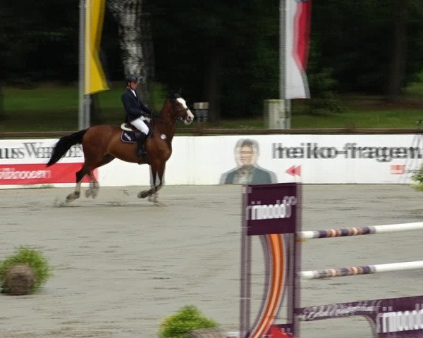 Reitturnier Westergellersen 2021