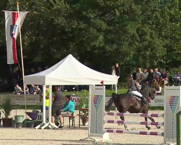 Maingau Classics in Grafenrheinfeld 2021