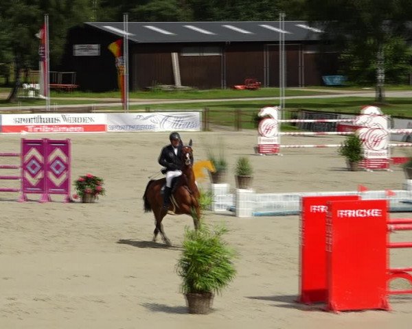 Reitturnier Westergellersen 2021