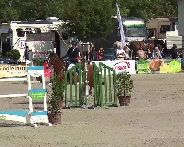 Maingau Classics in Grafenrheinfeld 2021