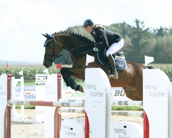 jumper Coombs L (Westphalian, 2006, from Cayetano L)