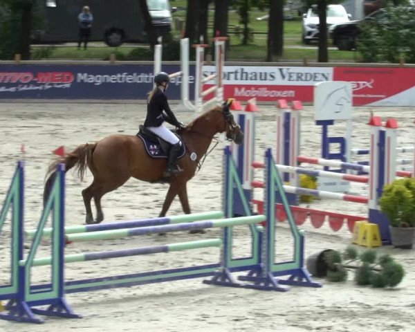 Reitturnier Westergellersen 2021