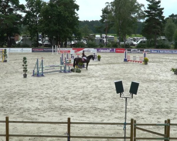 Reitturnier Westergellersen 2021