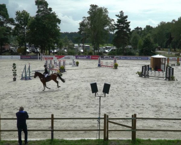 Reitturnier Westergellersen 2021