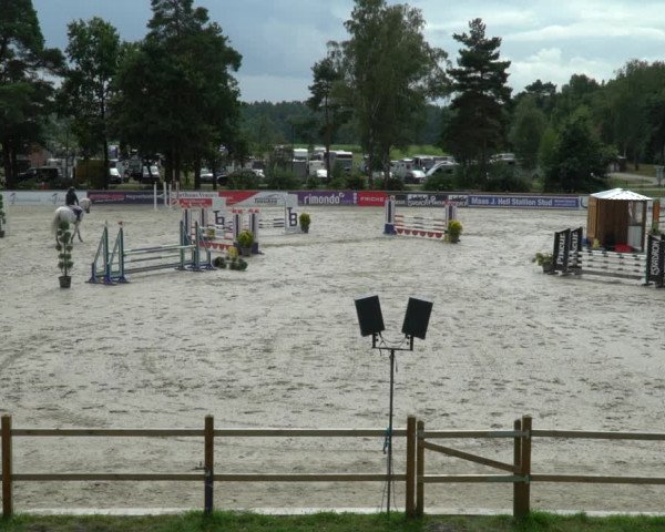 Reitturnier Westergellersen 2021