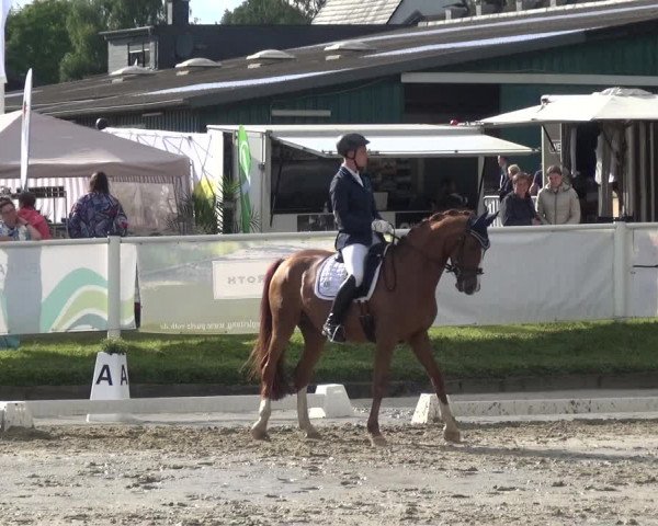 Bergisch Classics - Bergisch Gladbach - Hebborner Hof 2021