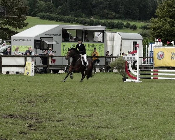 Concours Aesch 2021