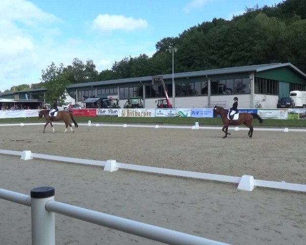 Bergisch Classics - Bergisch Gladbach - Hebborner Hof 2021