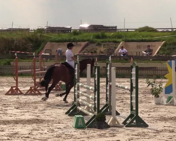 Reitturnier Schülp / Rendsburg 2021