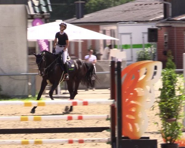 Reitturnier Datteln 2021
