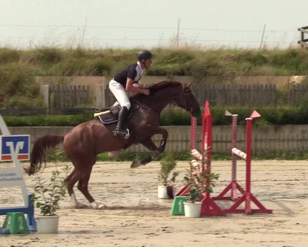 Reitturnier Schülp / Rendsburg 2021