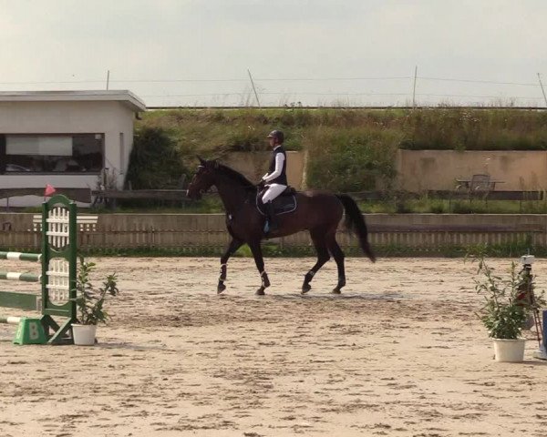 Reitturnier Schülp / Rendsburg 2021