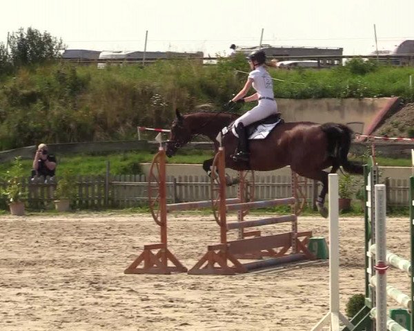 Reitturnier Schülp / Rendsburg 2021