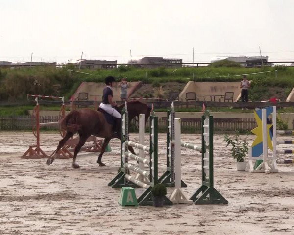 Reitturnier Schülp / Rendsburg 2021