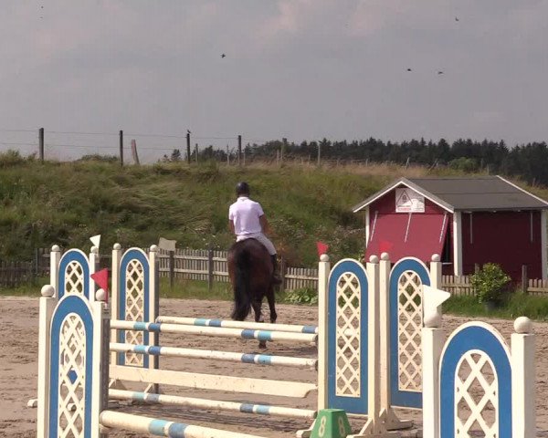 Reitturnier Schülp / Rendsburg 2021