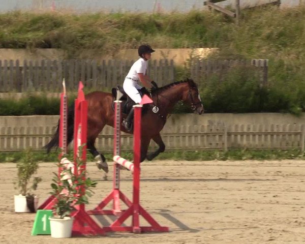 Reitturnier Schülp / Rendsburg 2021