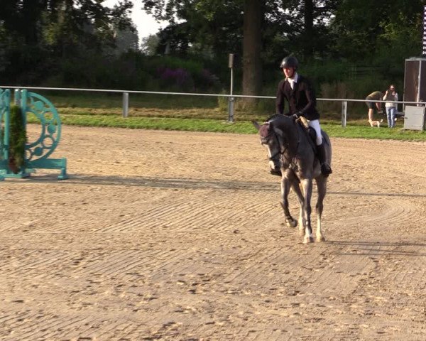 Reitturnier Datteln 2021