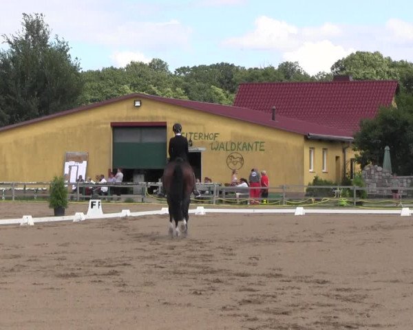 Reitturnier Altlandsberg 2021