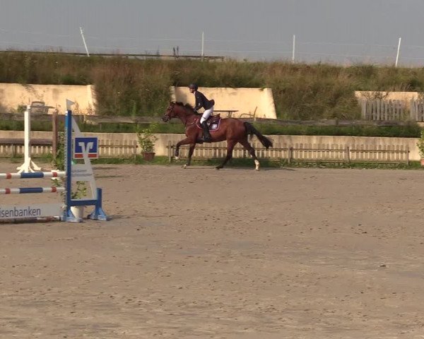 Reitturnier Schülp / Rendsburg 2021