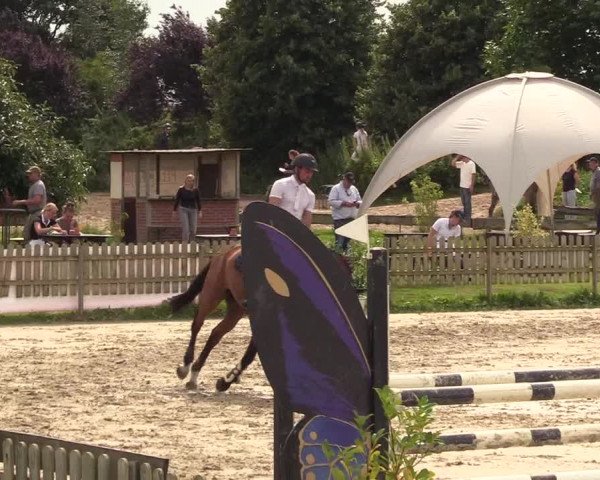 Reitturnier Schülp / Rendsburg 2021