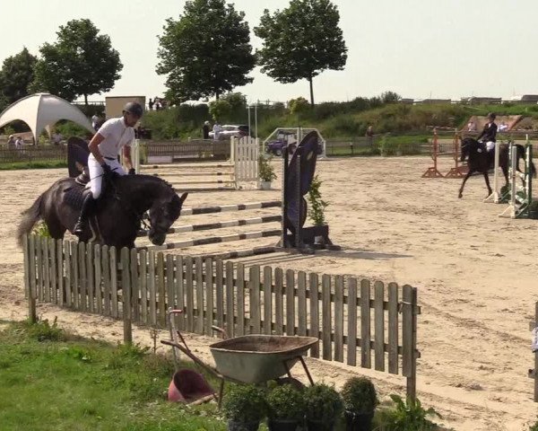Reitturnier Schülp / Rendsburg 2021