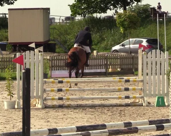 Reitturnier Schülp / Rendsburg 2021