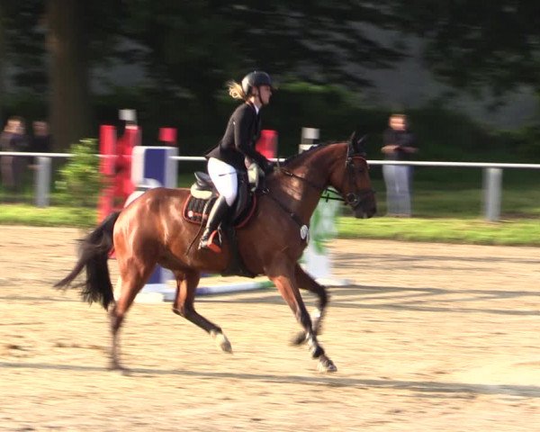 Reitturnier Datteln 2021