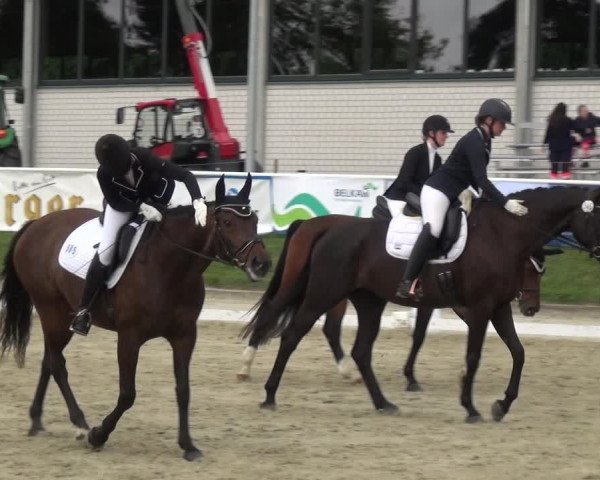 Bergisch Classics - Bergisch Gladbach - Hebborner Hof 2021
