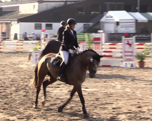 Reitturnier Datteln 2021