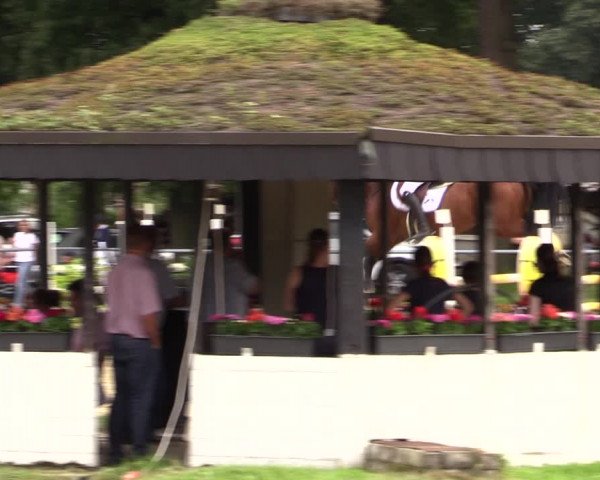 Reitturnier Datteln 2021