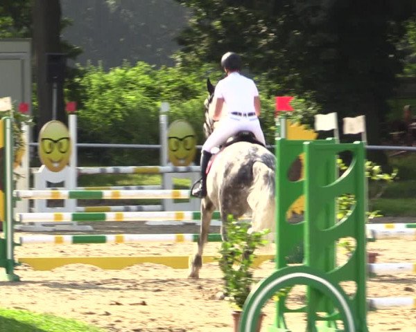 Reitturnier Datteln 2021