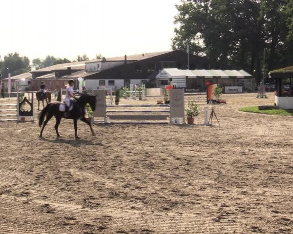 Reitturnier Datteln 2021