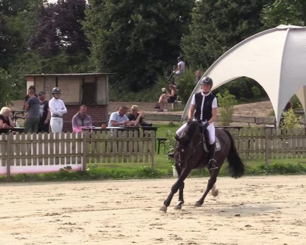 Reitturnier Schülp / Rendsburg 2021