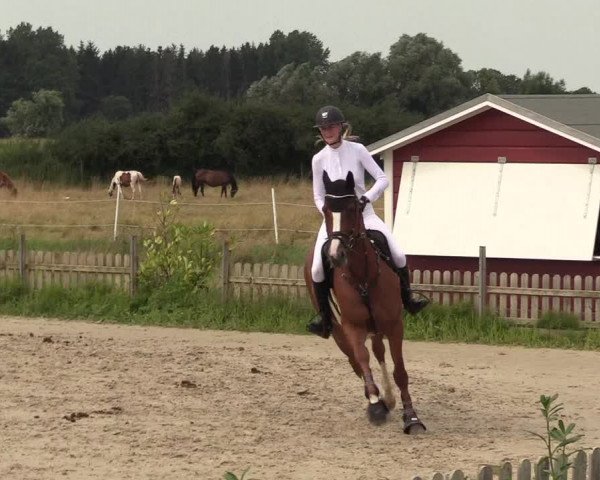 Reitturnier Schülp / Rendsburg 2021
