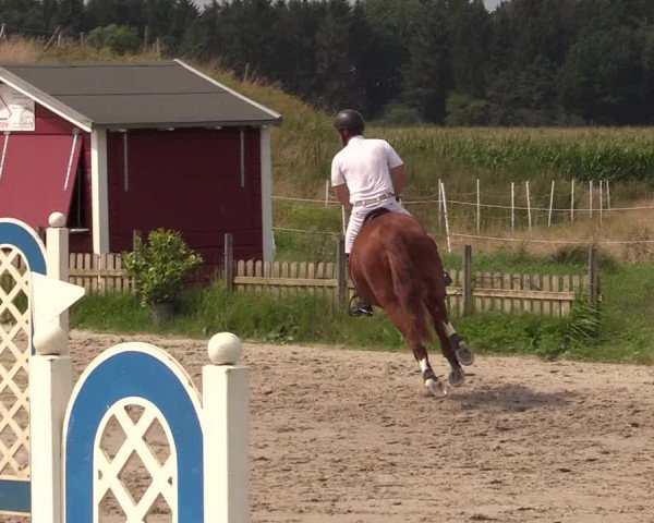 Reitturnier Schülp / Rendsburg 2021