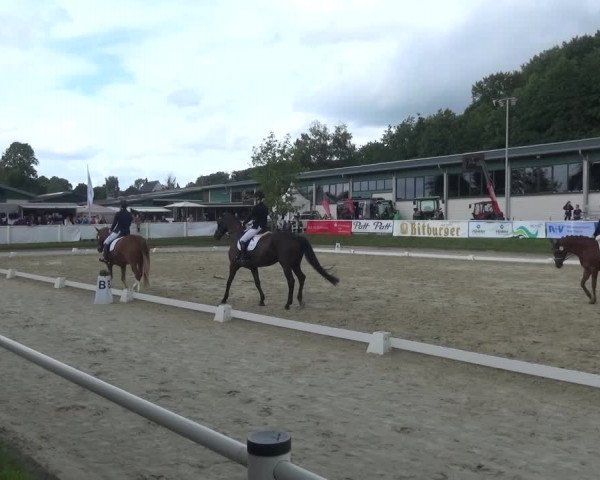 Bergisch Classics - Bergisch Gladbach - Hebborner Hof 2021