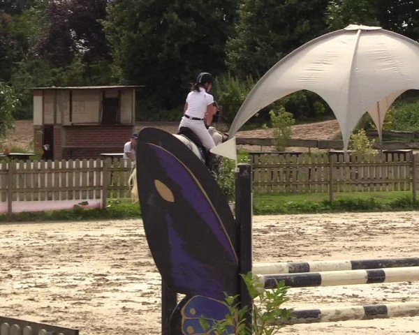 Reitturnier Schülp / Rendsburg 2021