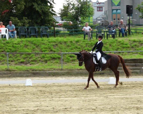 Reitturnier Kirchhoven-Vinn 2021